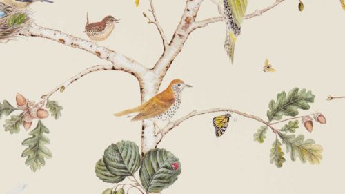 Woodland Chorus 215703